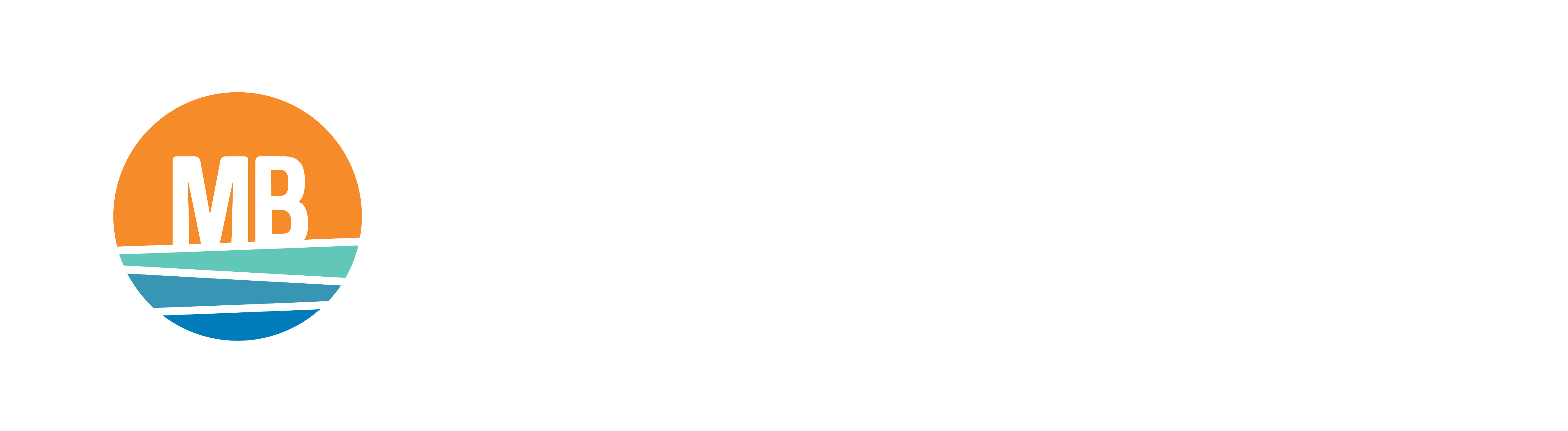 Mike Chestnut Myrtle Beach Downtown Alliance Board Of Directors